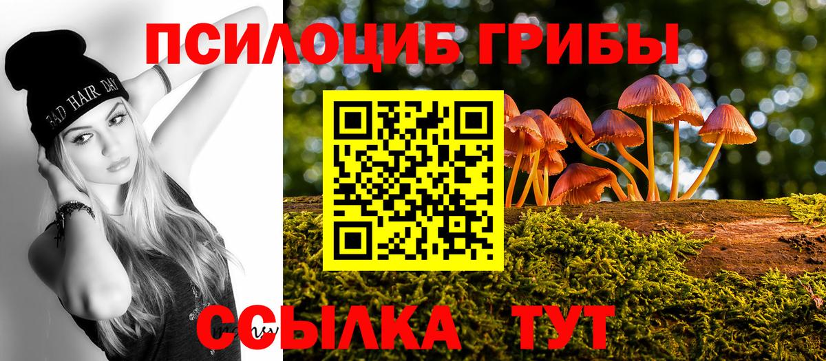 Псилоцибиновые грибы MAGIC MUSHROOMS  Галлюциногенные грибы Psilocybe  Ачхой-Мартан  Вход с VPN 